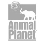 client - animal planet