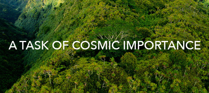 Image for A Task of Cosmic Importance