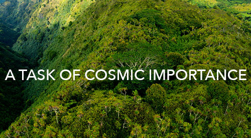 A Task of Cosmic Importance